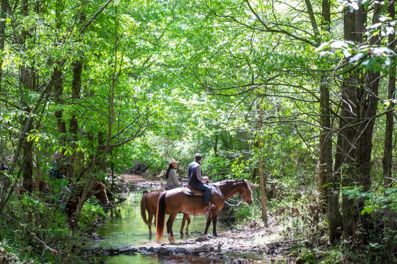 Barnsley Resort Adairsville Esterno foto