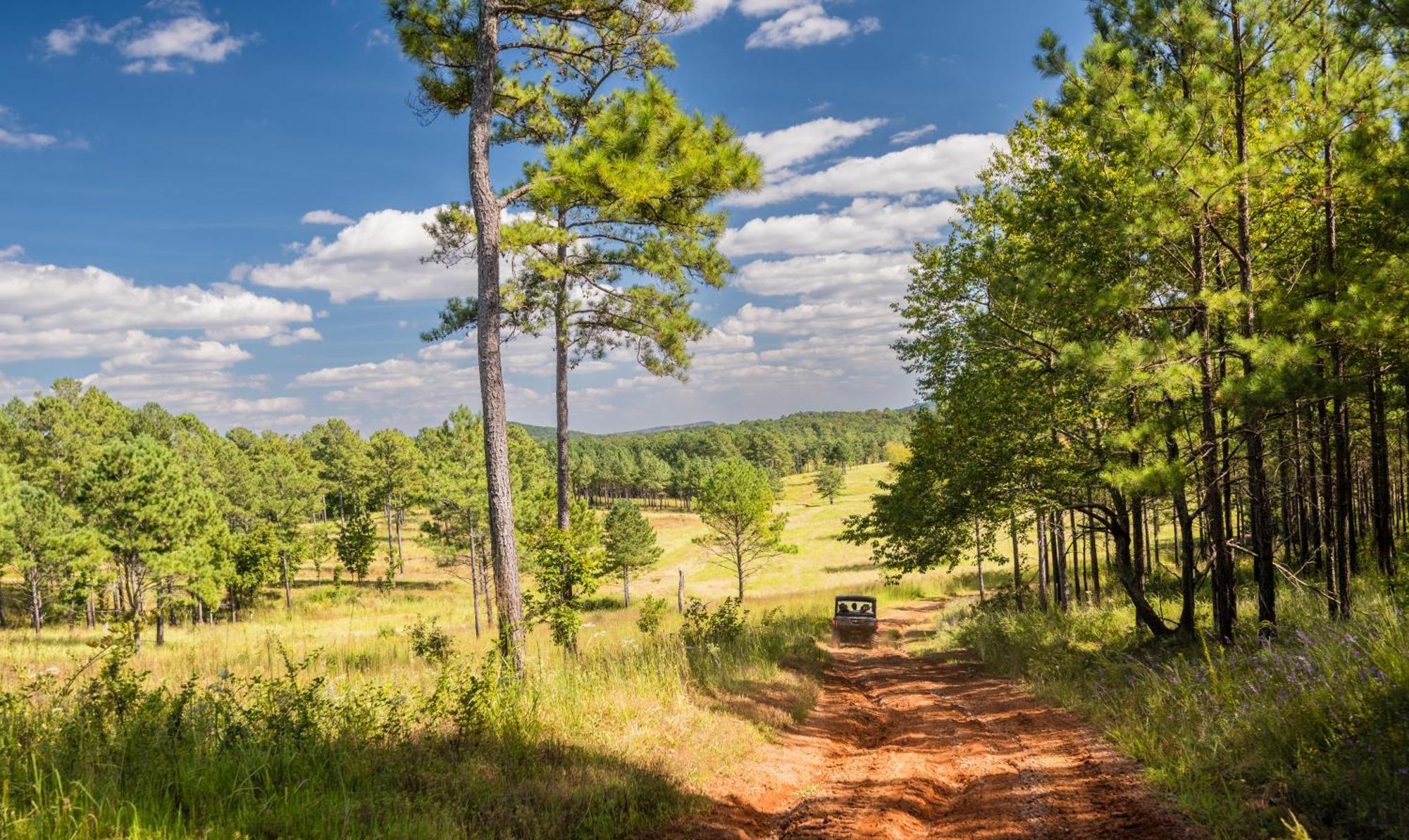Barnsley Resort Adairsville Esterno foto