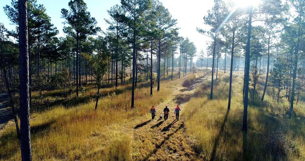 Barnsley Resort Adairsville Esterno foto
